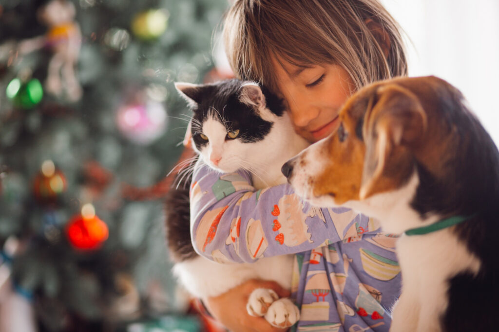 mutuelle animaux de compagnie