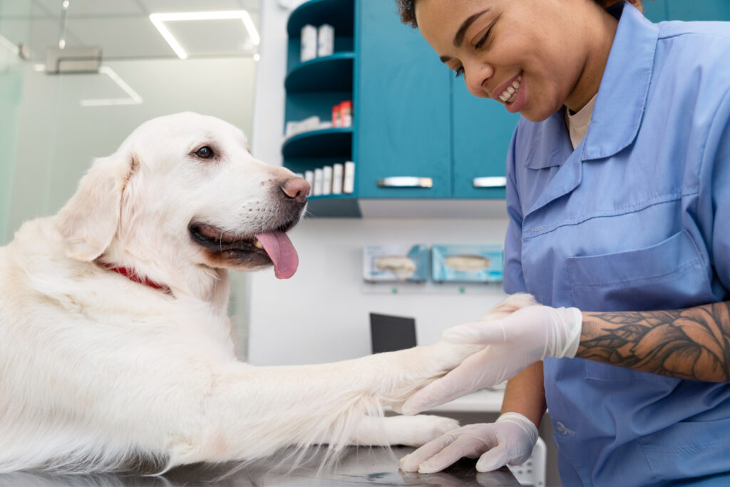 chien veterinaire